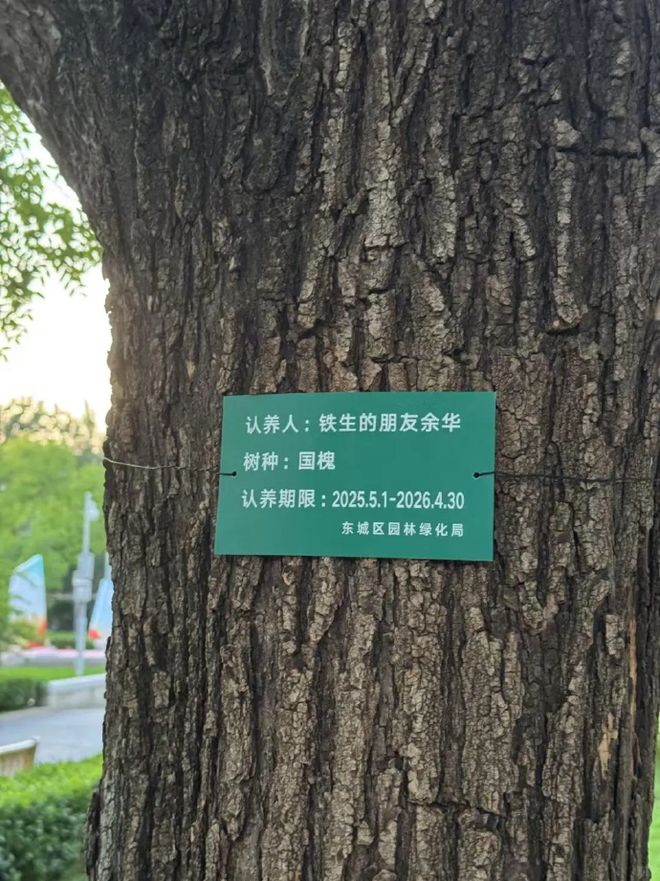 月灰心｜Goodnews凯发k8网站人类不会在五(图2)