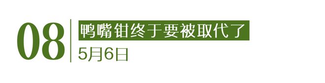 月灰心｜Goodnews凯发k8网站人类不会在五(图17)